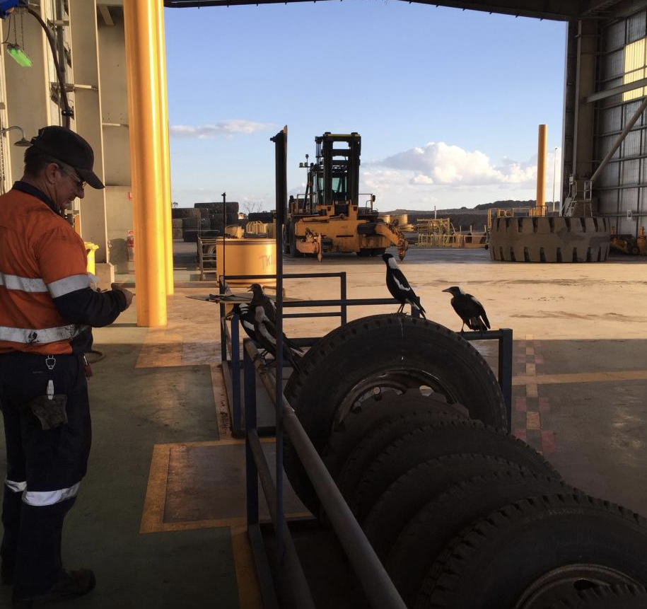 A man is standing next to an off the road tire in a warehouse.
